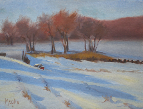 Snow Blanketed Field